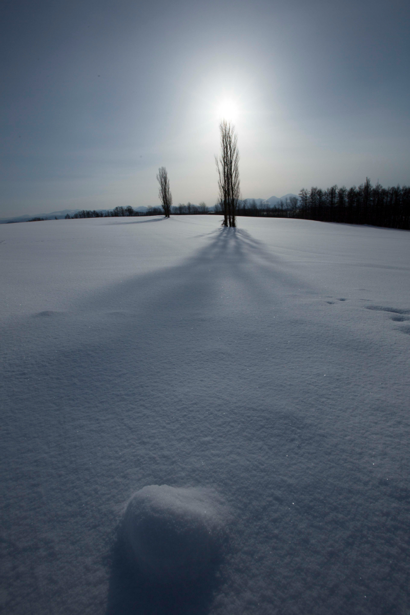 miyokokato kamakura biei 美瑛