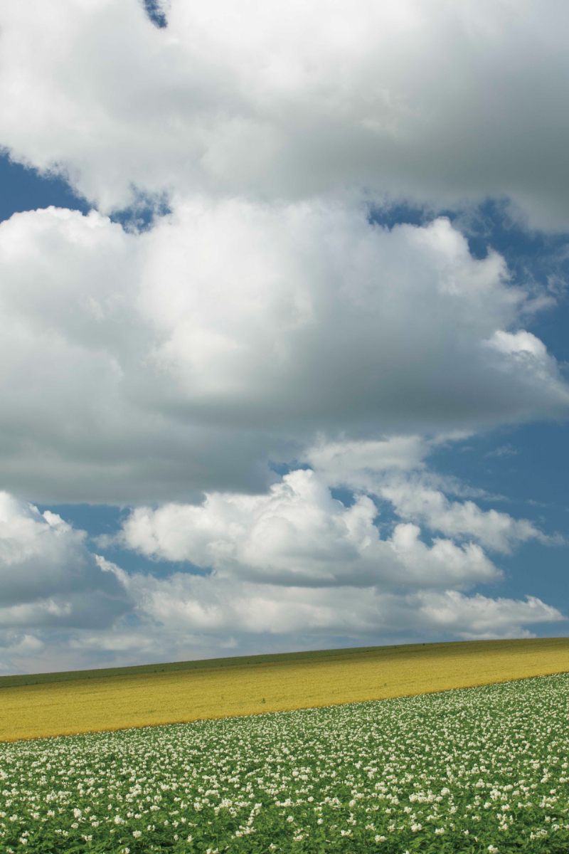 miyokokato kamakura biei 美瑛