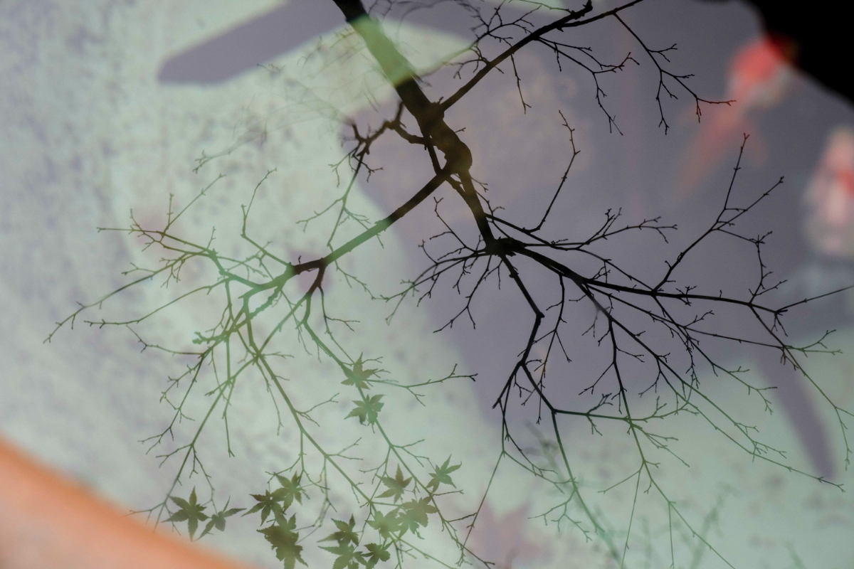 miyokokato kamakura 鎌倉