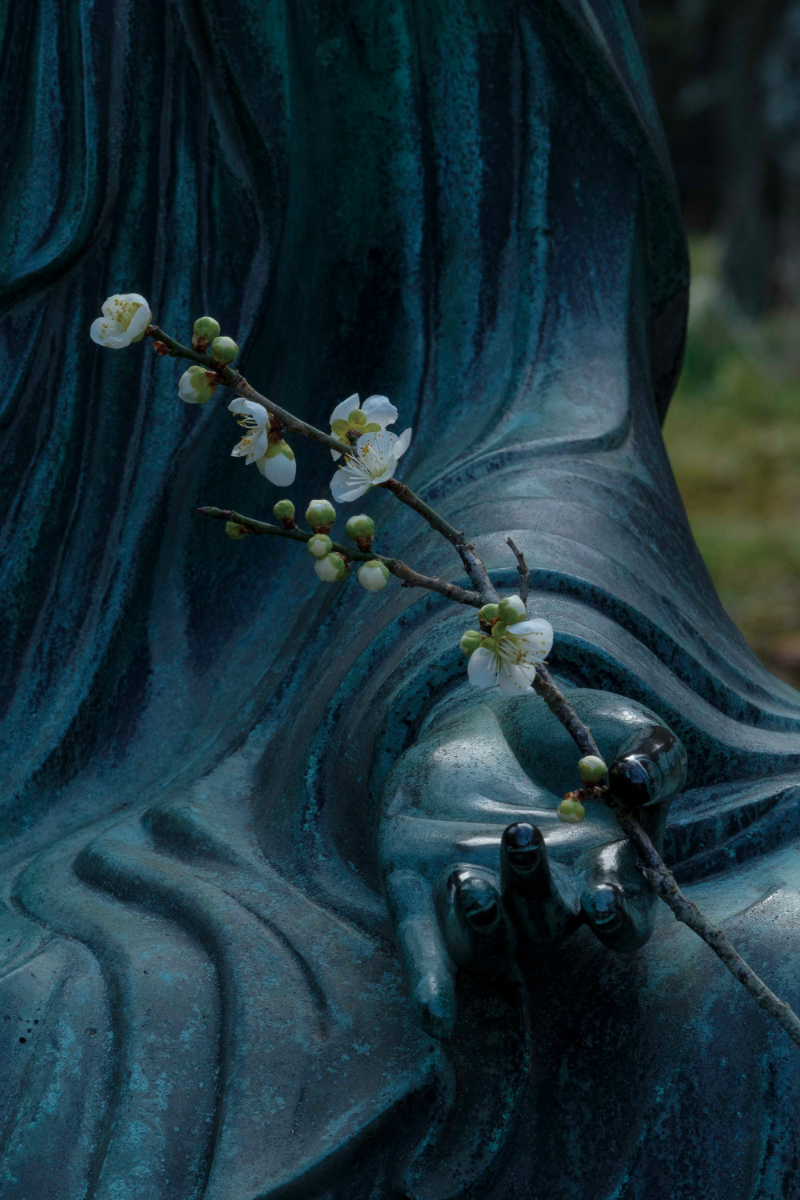 miyokokato kamakura 鎌倉