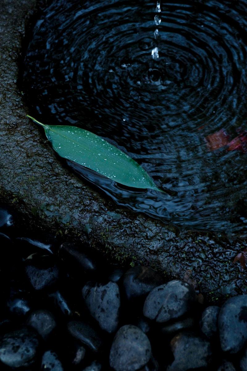 miyokokato kamakura 鎌倉