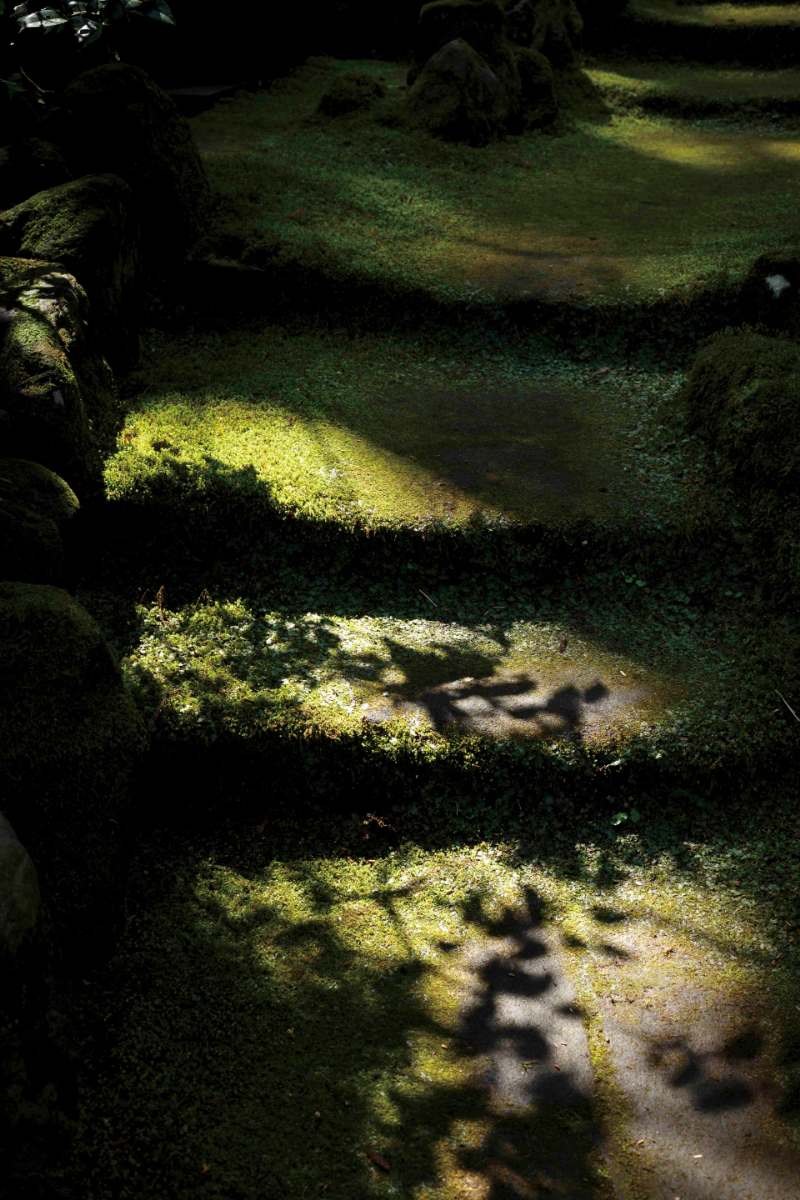 miyokokato kamakura 鎌倉