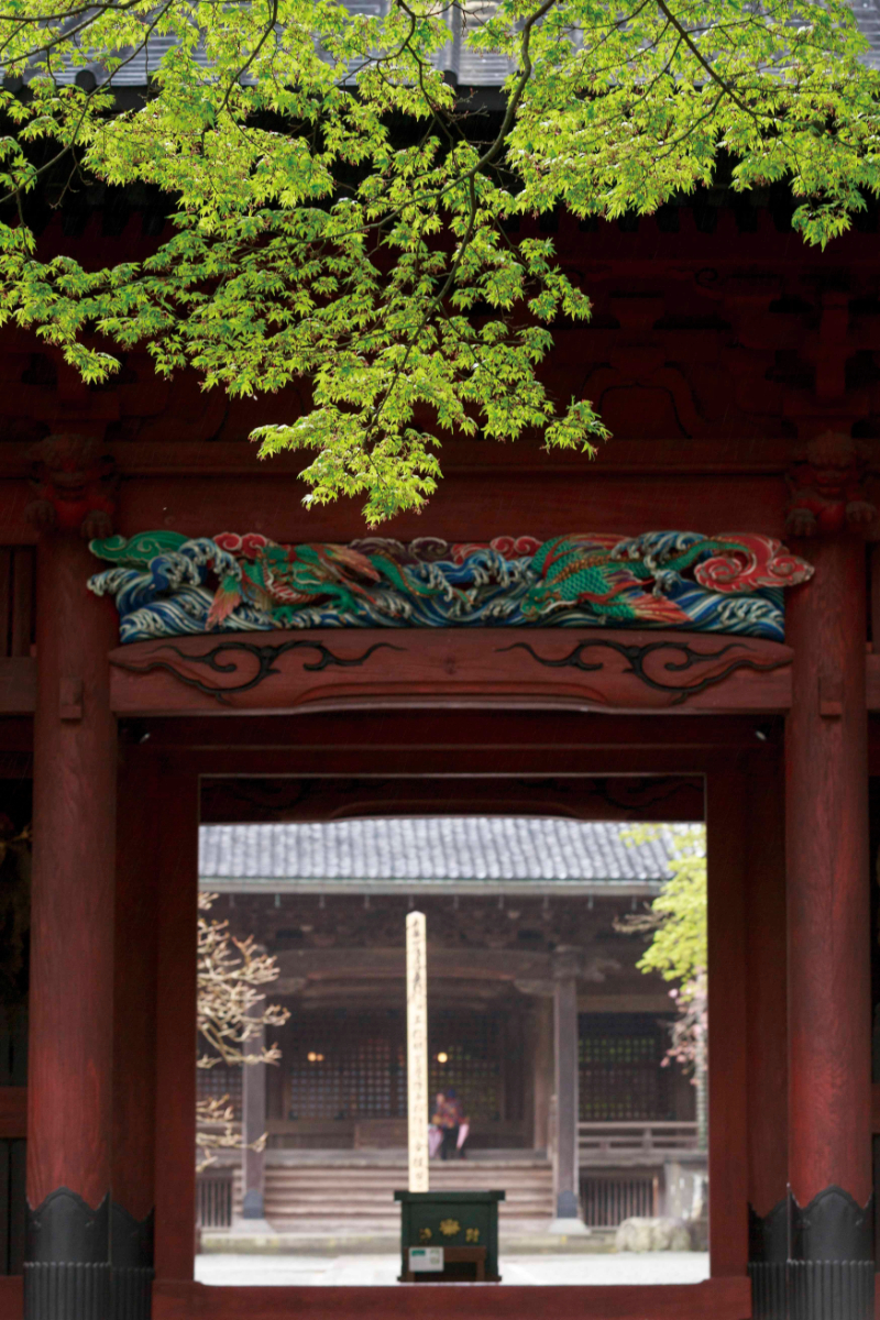 miyokokato kamakura 鎌倉